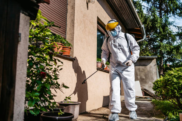 Best Termite Control Services  in Edgerton, KS