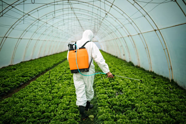 Best Residential Pest Control  in Edgerton, KS