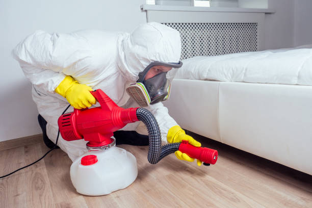 Reliable Edgerton, KS Pest Control Solutions