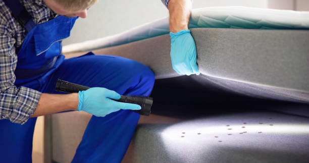 Best Bed Bug Extermination  in Edgerton, KS