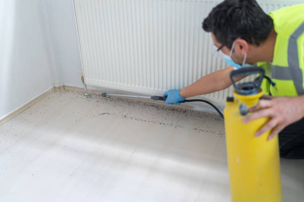Best Pest Inspection Near Me  in Edgerton, KS